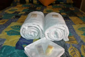 Avocado Motor Inn - Badezimmer