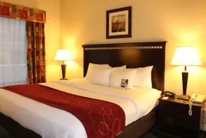 Comfort Suites Canton - Detroit - Chambre