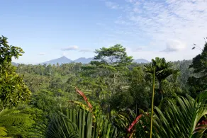 Adiwana Dara Ayu Villas - View from room