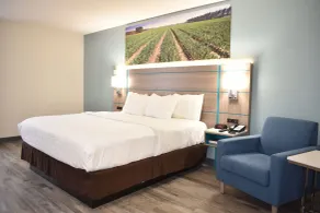 Clarion Pointe Vidalia - Lyons West - Room
