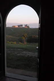 Agriturismo Musignano - Ausblick vom Zimmer