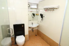 Dhanunjayas Luxury Hotel - Salle de bain