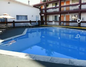 Thunderbird Motel - Piscine