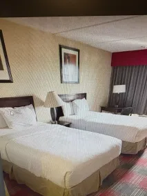 Albany Plaza Hotel  - Chambre