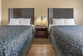 Days Inn by Wyndham Le Roy/Bloomington Southeast - Værelse