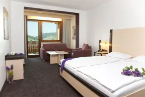 Wald Hotel Willingen - Bagno