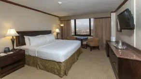 Delta Hotels by Marriott San Jose Aurola - Room