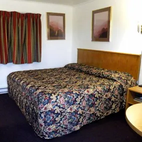 Economy Inn Cadillac MI by Hotel O - Chambre