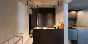 Spatium Ginza Pony - Reception