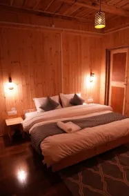 Hostay Tirthan - Room