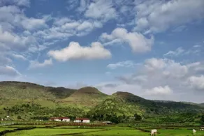 Touchwood Bliss Resort - Igatpuri - Mountain view