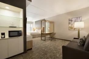 SpringHill Suites by Marriott Allentown Bethlehem/Center Valley - Room
