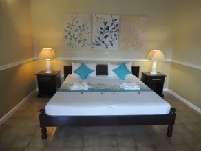 Hotel La Roussette - Room