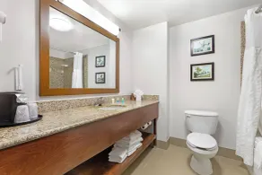 Comfort Suites DFW N-Grapevine - Baño