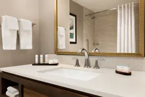 Embassy Suites by Hilton Wilmington Riverfront - Chambre