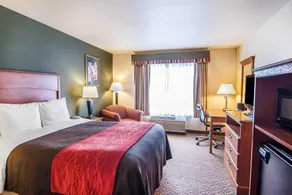 Comfort Inn & Suites Salem Northeast - Chambre