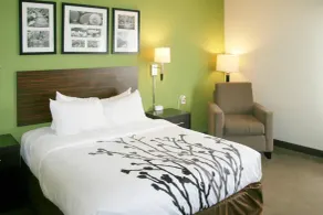 Sleep Inn & Suites Stony Creek - Petersburg South - Værelse
