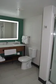 Wingate by Wyndham Parkersburg-Vienna - Baño
