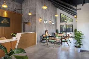 Elysian Vale - Reception