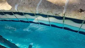HOSTEL WEAVING MILL ARUBA  - Pool