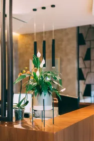 Hotel Stela Center - Réception