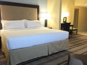 Holiday Inn Express Chicago NW - Arlington Heights by IHG - Chambre
