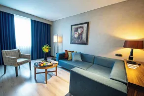 Dedeman Konya Hotel Convention Center - Chambre