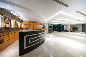 Orvana Prime - Reception