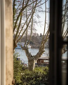 Auberge de la Treille - Chambres d'Hôtes - Vue de la chambre