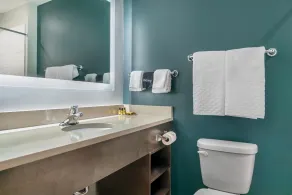 Best Western Plus Wayland Hotel - Badeværelse