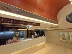 Metacity MK - Reception