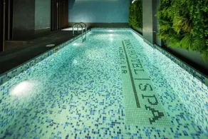 Danis Hotel & Spa Istanbul - Old City - Basseng