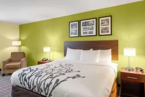 Sleep Inn & Suites Harbour Pointe - Chambre
