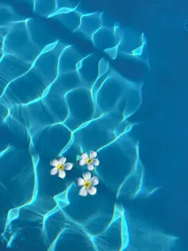 Olzadia Boutique Hotel - Pool