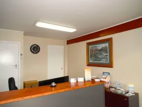 Paradise Motel - Reception