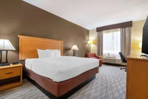 Best Western Locust Grove Inn & Suites - Room