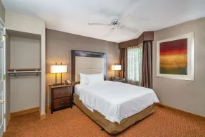 Homewood Suites by Hilton Lafayette Rossville Exit - Chambre