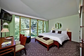 Logis des Lacs d'Halco - Room