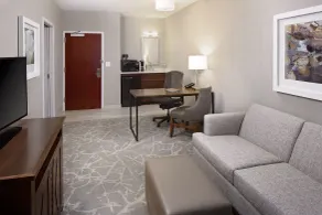 Embassy Suites by Hilton Boston Marlborough - Room