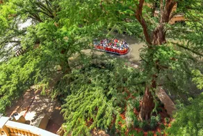 The Westin Riverwalk, San Antonio - Chambre