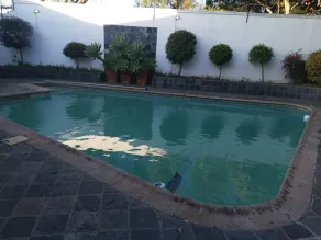Erasmus manor Guest House - Pool