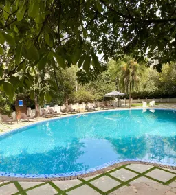 De Leopol Hotel - Pool