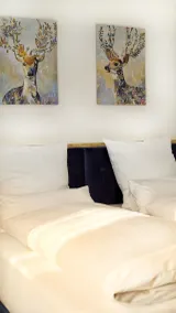 Hotel Sonnenschein - Room