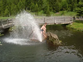 Schmiedalm - Pool