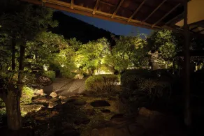Okudogo Ichiyunomori - Vista dalla camera