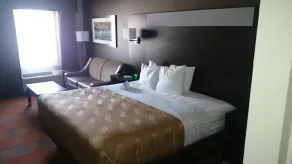 Quality Inn & Suites Stuttgart North - Værelse