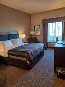 Wingate by Wyndham Christiansburg - Chambre