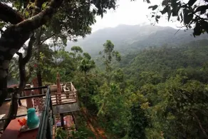 Wild Elephant Eco-Friendly Resort - View from room
