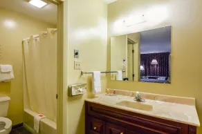 Econo Lodge Woodstock - Shenandoah Valley I-81 - Badeværelse