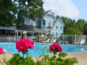 White Rose Inns & Motel - Piscine
